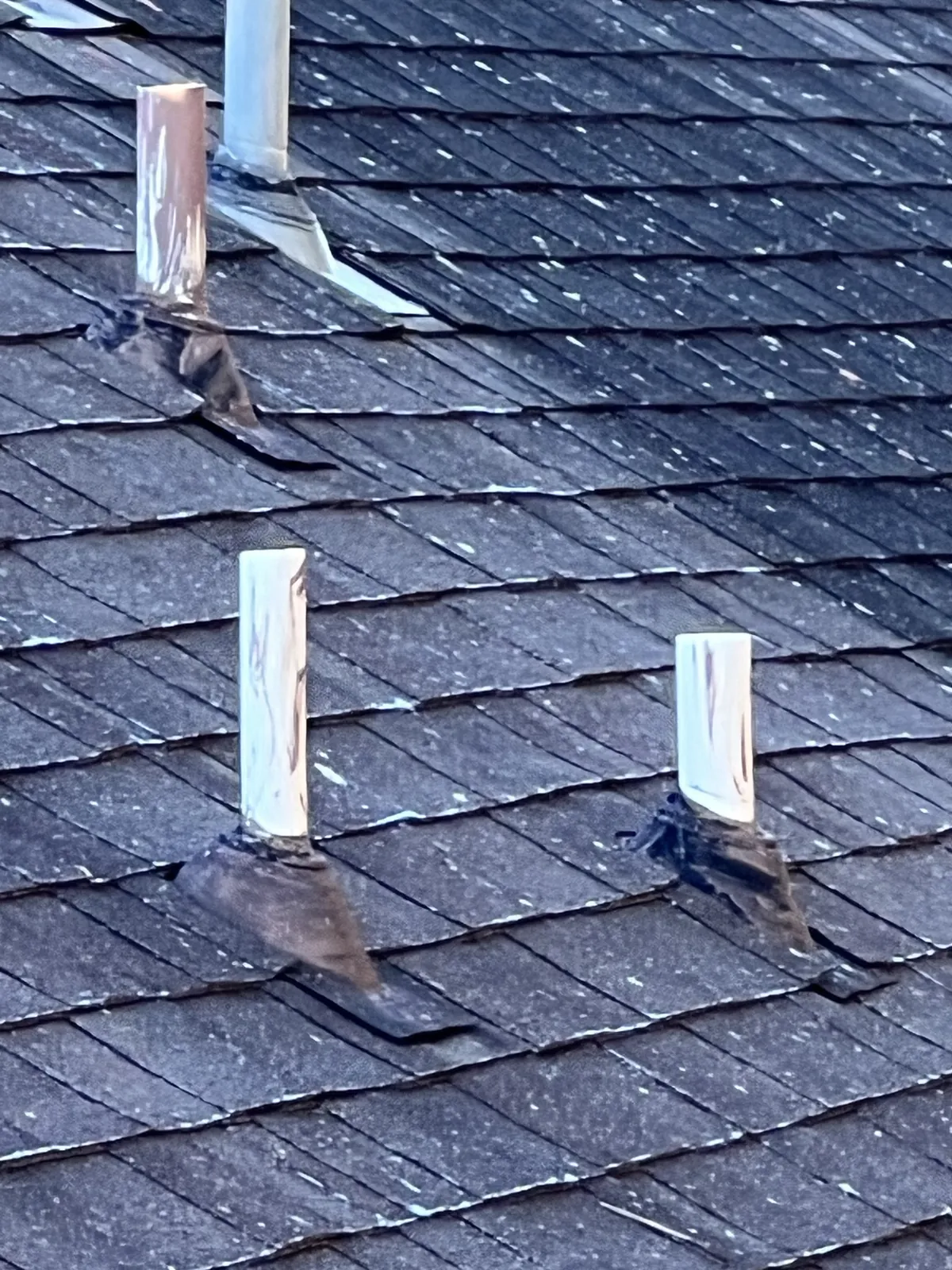 Three plumbing vent pipes on an older shingle roof, their rubber collars painted over, dried out and split