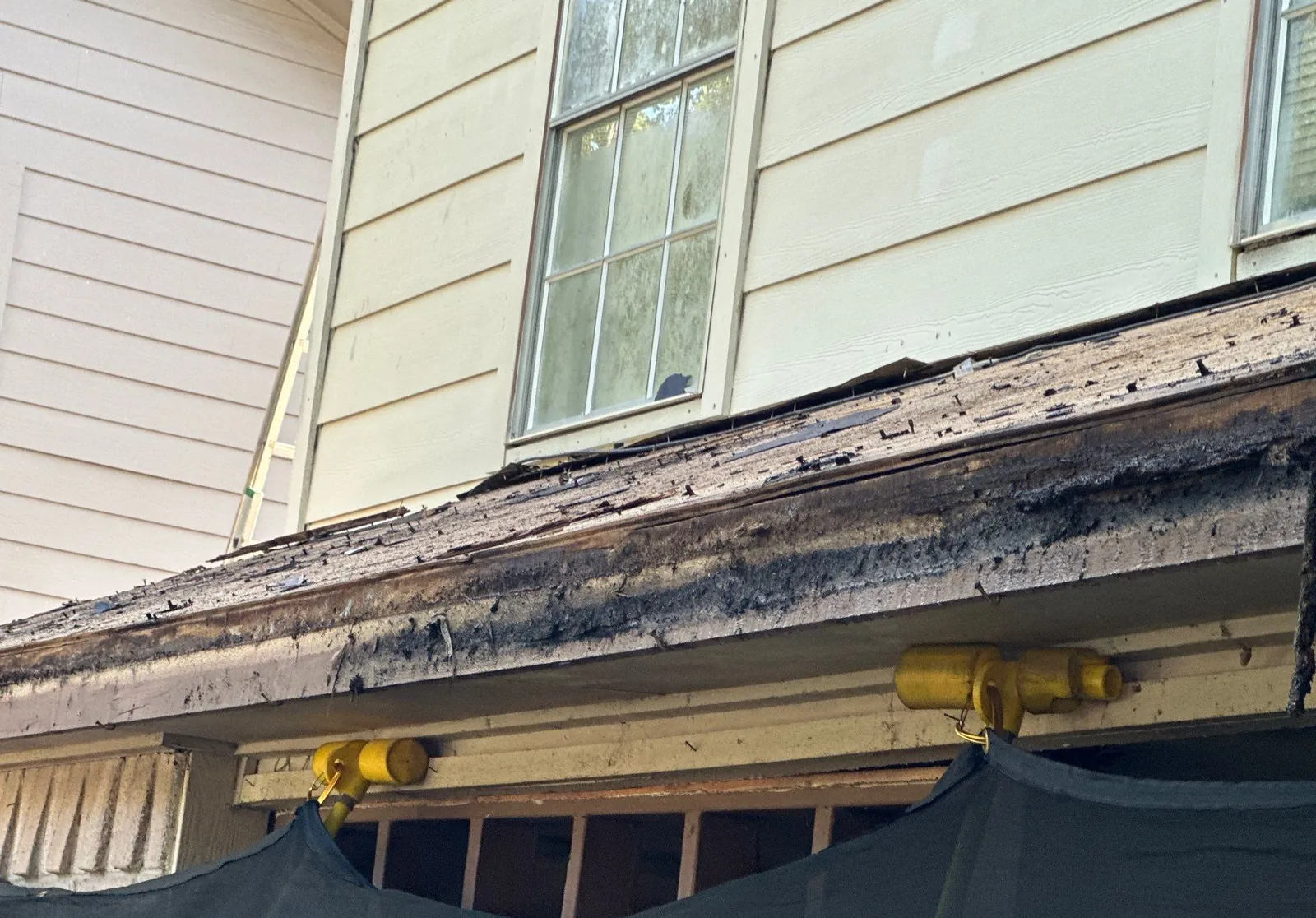 Roof deck edge at the eave during tear-off, dark and rotted along the fascia line, netting hung below